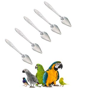 5 Pcs Bird Parrot Feeder Spoon Stainless Steel Milk Medicine Parrot Feeding Spoon for All Baby Bird Peony Cockatiel 4.7"