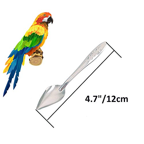 5 Pcs Bird Parrot Feeder Spoon Stainless Steel Milk Medicine Parrot Feeding Spoon for All Baby Bird Peony Cockatiel 4.7"