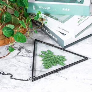 NCYP Side Length 8 Inches, Black Hanging Brass Glass Frame for Pressed Dried Flowers, Picture Photos Double Glass, Floating Frame Style Triangle Herbarium (Glass Frame Only)