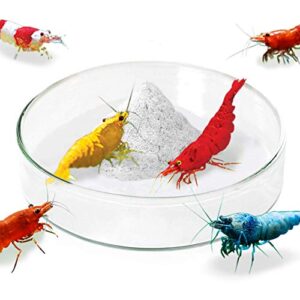 jor shrimp, frog & gecko feed bowl, 2.5-inches wide, 0.5, inches depth, tough borosilicate glass, heavy-duty, transparent basin, 1 pc per pack