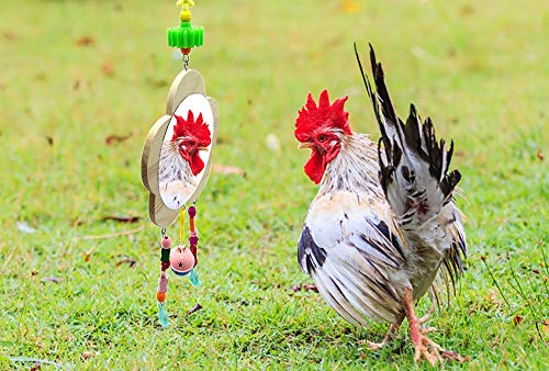 Vehomy Chicken Toys for Hens with Mirrors Chicken Wood Mirror Toy with Bell for Chicks Hens Roosters