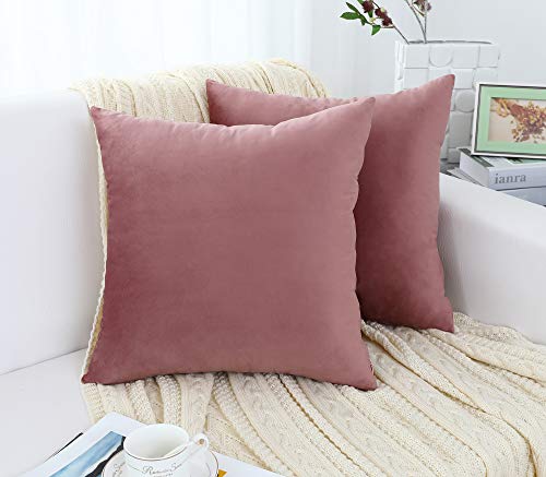 Jeneoo Comfy Soft Velvet Throw Pillow Covers for Sofa Couch, Decorative Solid Square Cushion Cases for Bedroom Car (Dusty Rose, 16 x 16 Inches, 2 Pieces)