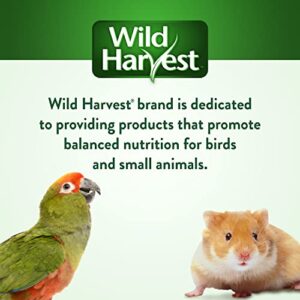 Wild Harvest Chewable Ladder for Birds, Chewable Exercise Toy, Made with Alfalfa and Honey Flavors