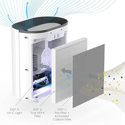 Pure Enrichment PureZone 3-in-1 Air Purifier Bundle with True HEPA Replacement Filter - True HEPA Filter & UV-C Cleans Air, Helps Alleviate Allergies, Removes Pet Hair, Smoke & More