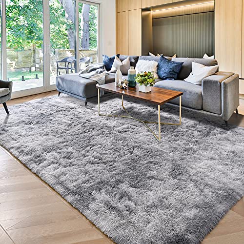 ISEAU Rugs for Living Room Ultra Soft Shag Area Rug 4'x6' Carpet for Bedroom, Non-Slip Fluffy Dorm Rug for Kids Room Home Decor, Light Grey