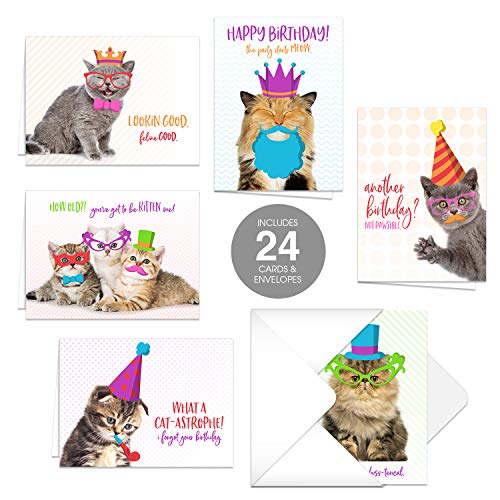 Funny Cat Pun Birthday Card Pack / 24 Cat Birthday Cards With White Envelopes / 4 7/8" x 3 1/2" Cats Birthday Note Cards/Hilarious Cute Kitten Birthday Greeting Cards