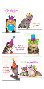 Funny Cat Pun Birthday Card Pack / 24 Cat Birthday Cards With White Envelopes / 4 7/8" x 3 1/2" Cats Birthday Note Cards/Hilarious Cute Kitten Birthday Greeting Cards
