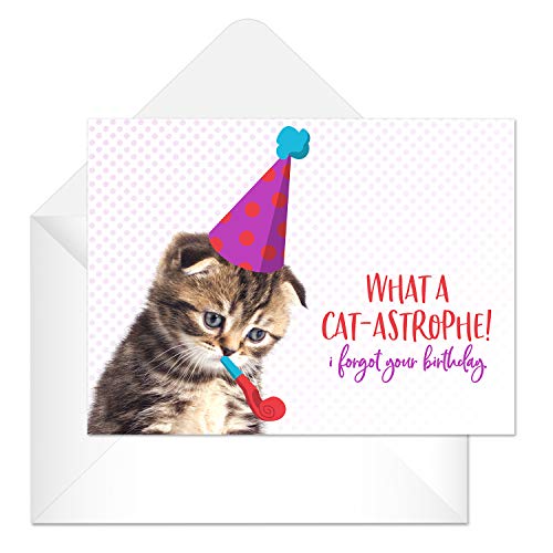 Funny Cat Pun Birthday Card Pack / 24 Cat Birthday Cards With White Envelopes / 4 7/8" x 3 1/2" Cats Birthday Note Cards/Hilarious Cute Kitten Birthday Greeting Cards