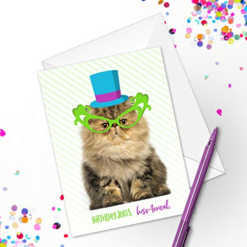 Funny Cat Pun Birthday Card Pack / 24 Cat Birthday Cards With White Envelopes / 4 7/8" x 3 1/2" Cats Birthday Note Cards/Hilarious Cute Kitten Birthday Greeting Cards