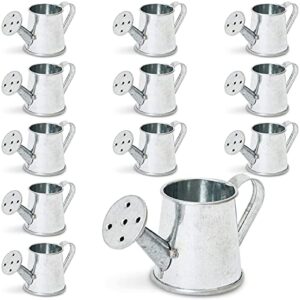 12-pack mini galvanized watering can, decorative mini watering can for crafts, party favors, housewarmings, garden-theme parties, and home decor (silver, 3x1.6 in)