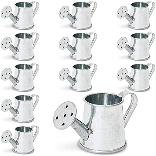 12-Pack Mini Galvanized Watering Can, Decorative Mini Watering Can for Crafts, Party Favors, Housewarmings, Garden-Theme Parties, and Home Decor (Silver, 3x1.6 in)