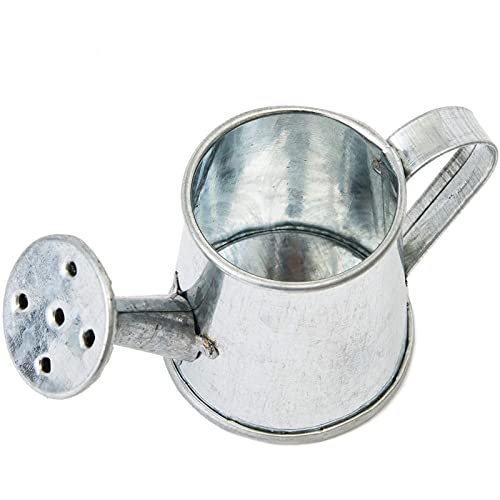 12-Pack Mini Galvanized Watering Can, Decorative Mini Watering Can for Crafts, Party Favors, Housewarmings, Garden-Theme Parties, and Home Decor (Silver, 3x1.6 in)