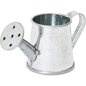 12-Pack Mini Galvanized Watering Can, Decorative Mini Watering Can for Crafts, Party Favors, Housewarmings, Garden-Theme Parties, and Home Decor (Silver, 3x1.6 in)