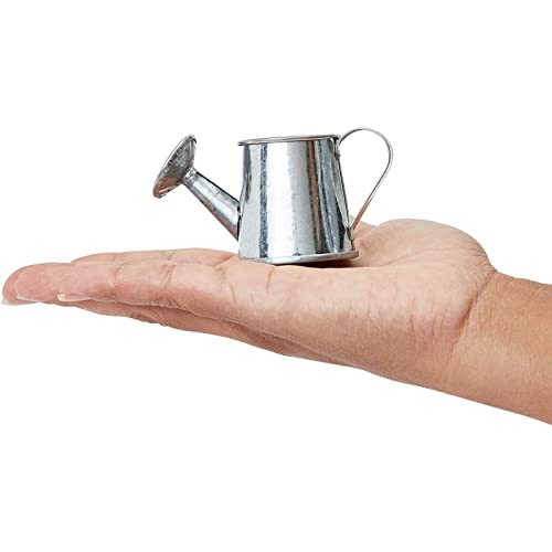 12-Pack Mini Galvanized Watering Can, Decorative Mini Watering Can for Crafts, Party Favors, Housewarmings, Garden-Theme Parties, and Home Decor (Silver, 3x1.6 in)