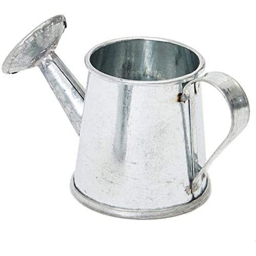 12-Pack Mini Galvanized Watering Can, Decorative Mini Watering Can for Crafts, Party Favors, Housewarmings, Garden-Theme Parties, and Home Decor (Silver, 3x1.6 in)