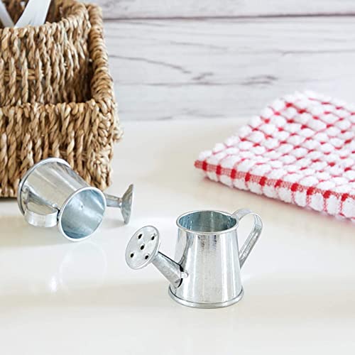 12-Pack Mini Galvanized Watering Can, Decorative Mini Watering Can for Crafts, Party Favors, Housewarmings, Garden-Theme Parties, and Home Decor (Silver, 3x1.6 in)