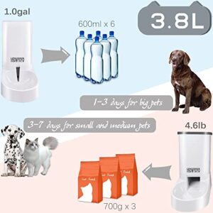 Pets Automatic Feeder Set,Cats Dogs Water Dispenser and Food Feeder,Gravity Feeder for Small Animals (Food and Water Feeder Set)