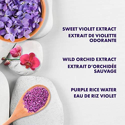 SheaMoisture Strength + Color Care Conditioner Purple Rice Water 13 oz