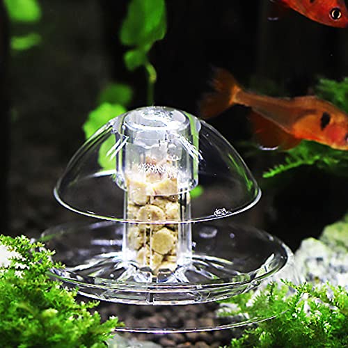 Ailindany Snail Trap Plastic Trap Hands on Catcher with Fishing Line for Aquarium Fish Tank Clear