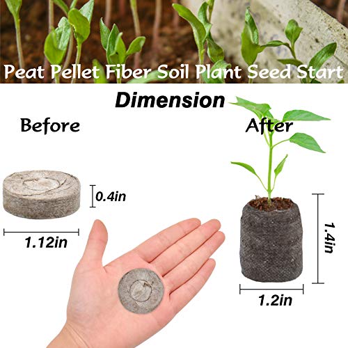 ZeeDix 100 Pcs 30mm Peat Pellets Seed Starter Soil Pods Plugs for Vegetable, Seedling Soil Block Compressed Peat Nutrient Seed Pods for Planting Easy Transplant with 100 Plant Labels & 2 Garden Tools