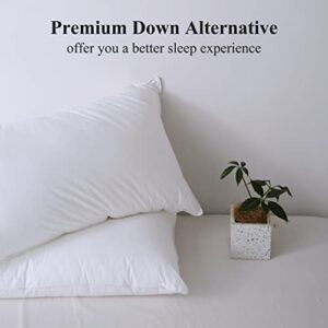 Acrafsman Bed Pillows for Side Sleepers,Hotel Collection,Down Alternative Pillow Queen Size Set of 2