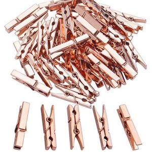 jdesun 50 pieces photo clips,mini plastic picture paper clip clothespins peg for office,home,arts(rose gold)
