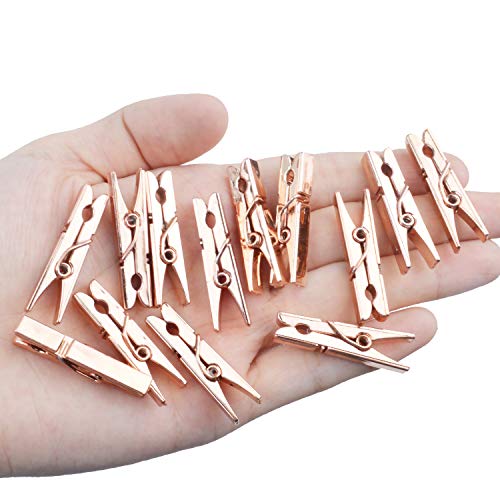 Jdesun 50 Pieces Photo Clips,Mini Plastic Picture Paper Clip Clothespins Peg for Office,Home,Arts(Rose Gold)