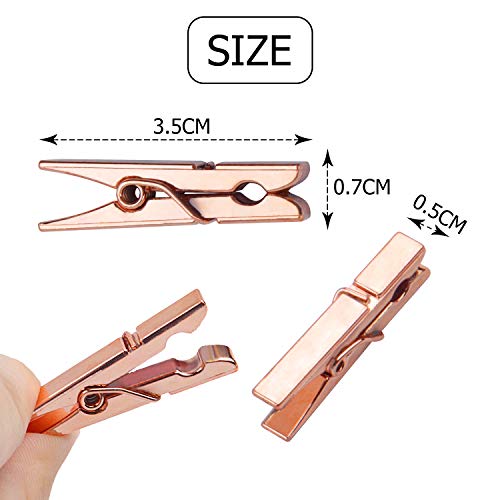 Jdesun 50 Pieces Photo Clips,Mini Plastic Picture Paper Clip Clothespins Peg for Office,Home,Arts(Rose Gold)