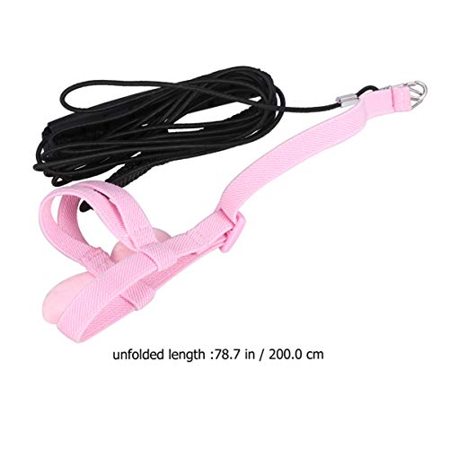 POPETPOP Bird Harness - Pet Bird Harness and Leash Rope Training Durable Wing for Parrot Bird Pet Supplies - Pink