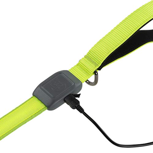 Nite Ize NiteDog Rechargeable LED Leash, USB Rechargeable 5 Foot Light Up Dog Leash w/Padded Handle, Lime