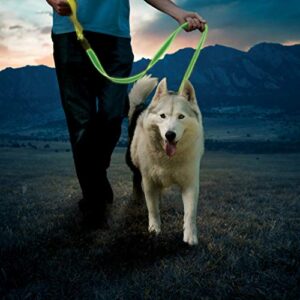 Nite Ize NiteDog Rechargeable LED Leash, USB Rechargeable 5 Foot Light Up Dog Leash w/Padded Handle, Lime