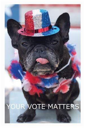 Postcards to Voters - 150 Pack (Your Vote Matters)