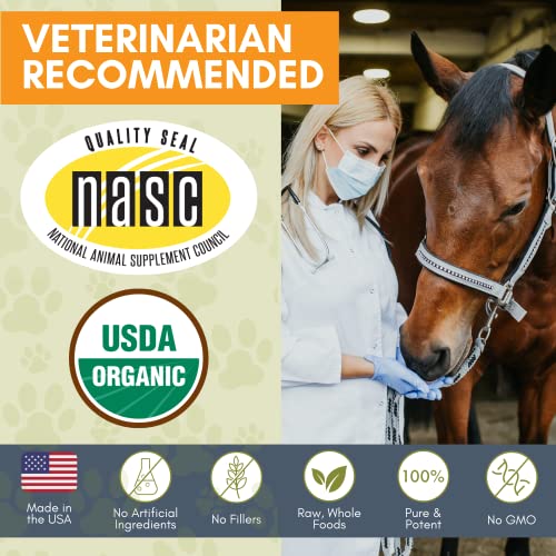 Wholistic Pet Organics Digest-All Plus: Horse Probiotics Powder - Equine Probiotics and Prebiotics with Digestive Enzymes - Equine Digestive Supplements for Gas, Constipation and Gut Health - 1 Lb