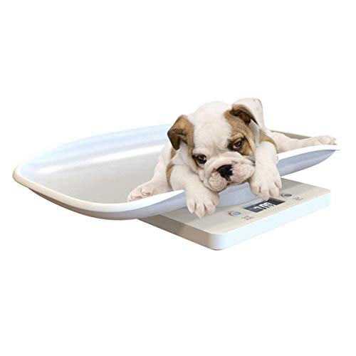 Petyoung Multi-Function Digital Pet Scale to Measure Dog and Cat Weight Accurately Up to 10KG,LCD Display Pet Dog Weighing Scale with Comfortable Curving Platform