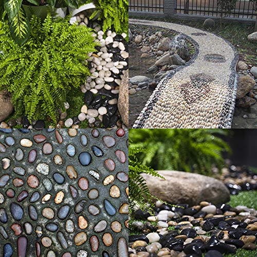 BLQH [18 Pounds] Pebbles Stones Aquarium Gravel River Rock,Natural Polished Decorative Gravel,Garden Ornamental Pebbles Rocks,Polished Gravel for Landscaping (Mixed Colors)