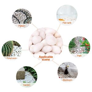 CFKJ 18 Pounds White Decorative Pebbles River Rock Aquarium Gravel,Garden Ornamental Pebbles, Natural Polished Decorative Gravel,White Decorative Stones,Pebbles,Decor Pebbles for Landscaping (White)