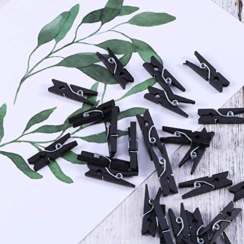 Wooden Clothes Pins, 100pcs 1.3Inch (3.5cm) Black Small Wooden Chip Clips with 33 Feet Jute Twine for Bag Clips Clothespin Bag Clothes Pin Heavy Duty Outdoor(Black)