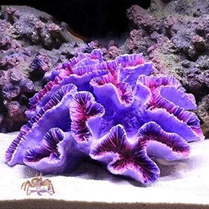 danmu 1pc of polyresin coral ornaments, aquarium coral decor for fish tank aquarium decoration 6 2/5" x 5 1/2" x 2 7/10"