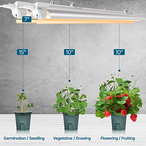 Barrina Plant Light, 144W(6 x 24W, 800W Equivalent), 2ft T8, Super Bright, Full Spectrum led Grow Light, T8 Integrated Growing Lamp Fixture, Plant Lights for Indoor Plants, 6-Pack