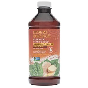 desert essence prebiotic plant-based brushing rinse gingermint 15.8 fl oz alcohol free, no sls, gluten-free, vegan, cruelty free, prebiotic, plant-based, healthy oral microbiome, eliminate bad breath