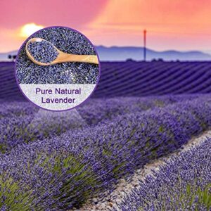 Lavender Sachets - Dried Lavendar Flower Sachet Bags (18 Pack) for Home Fragrance and Long-Lasting Fresh Scents, Natural Moths Away for Clothes Closets. Protect & Defend Clothing.