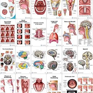 SLP Pocket Charts