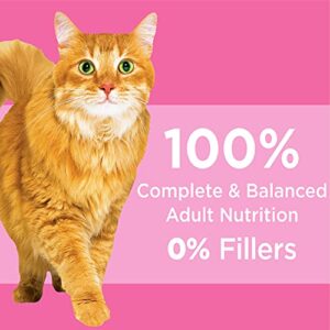 IAMS PROACTIVE HEALTH Adult Sensitive Digestion & Skin, Dry Cat Food with Turkey Cat Kibble, 13 lb. Bag