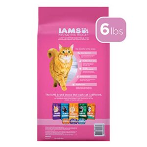 IAMS PROACTIVE HEALTH Adult Sensitive Digestion & Skin, Dry Cat Food with Turkey Cat Kibble, 6 lb. Bag