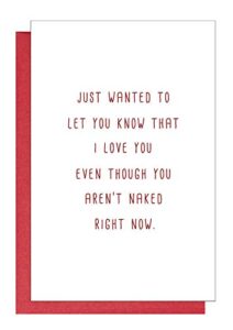 funny anniversary card, birthday card, valentine's day card, love you even though you aren't naked