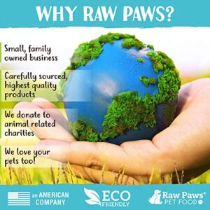 Raw Paws Himalayan Yak Chews for Small Dogs & Puppies - Small Chews (10-Count) - Himalayan Cheese for Small Dogs - Yak Bones for Dogs - Yak Milk Bones for Dogs - Dog Cheese Chews Himalayan