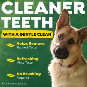 TropiClean Fresh Breath No Brushing Clean Teeth Dental & Oral Care Dental Wipes for Dogs, 50ct - Teeth Cleaning Wipes - Helps Wipe Away Plaque & Tartar - Freshens Breath - No Brushing Required