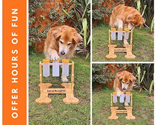 LOOBANI Dog Puzzle Toys Wooden - Interactive Dog Toys for Boredom, IQ Training and Mental Brain Stimulation, Treat Dispensing Dog Toys/Dog Entertainment Toys/Food Slow Feeder for Small to Large Dogs