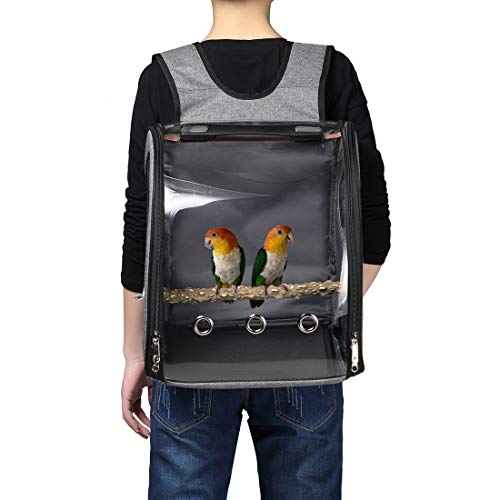 Bird Parrot Backpack Carrier Travel Bag with Perch Stand for Parakeets Cockatiels Conures Finches Lovebirds Small Medium Birds Cage Outside Airlines Airplane Plane Approved Car Lightweight Transparent