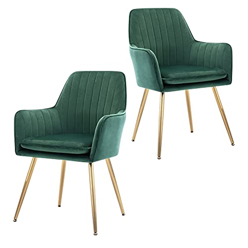 ceedment Modern Living Dining Room Accent Arm Chairs Club Guest with Gold Metal Legs (2, Green)